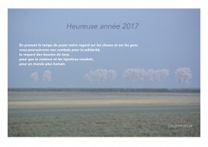 CV 2017-1 - copie